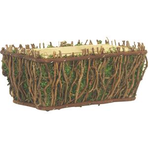 Photo CCO4950P : Rattan and moss basket