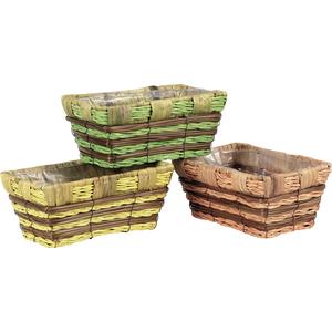 Photo CCO5550P : Bamboo and fern basket