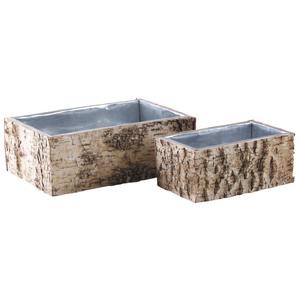 Photo CCO933S : Rectangular metal planter with bleached birch