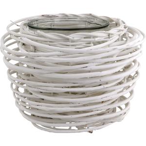 Photo DBO1500V : Willow and glass pot