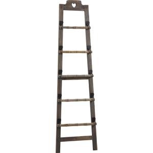 Photo DVI1650 : Wooden ladder