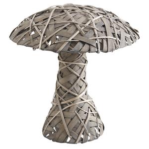 Photo DVI1692 : Grey willow and wood mushroom
