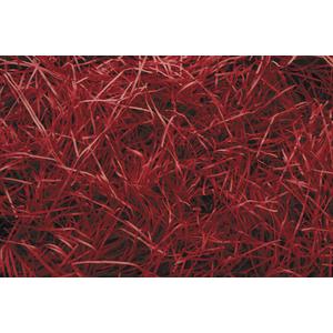 Photo EFF1181 : Fine red paper crinkle cut shred