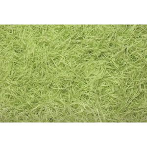Photo EFZ1103 : Anis green tissue paper crinkle cut shred