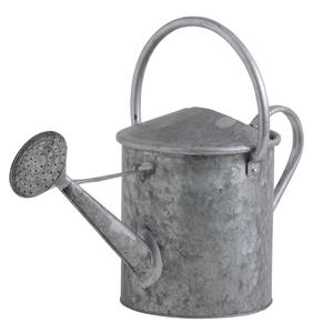 Photo GAR1490 : Heavy zinc watering can