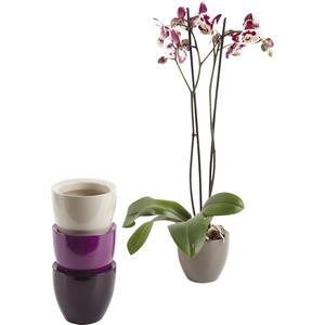 Photo JCP3270V : Ceramic orchid pot holder
