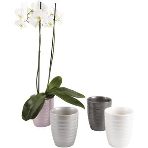 Photo JCP3290V : Ceramic orchid pot holder