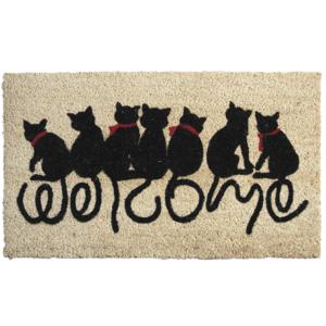 Photo NPA1620 : Door mat with cats