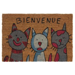 Photo NPA1870 : Door mat Cats Bienvenue
