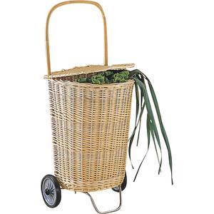 Photo PRO1030 : Willow shopping trolley