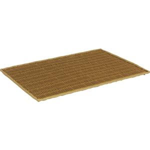 Photo TPL1901 : Plastic rattan tray