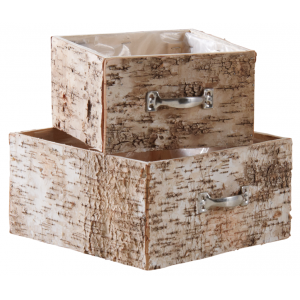 Photo CCO945SP : Birch wood drawers