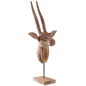 Photo DAN2920 : Trophée d'antilope