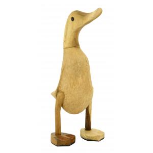 Photo DAN3310 : Teak duck