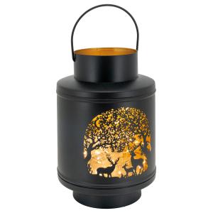 Photo DBO3990 : Lantern in cut metal
