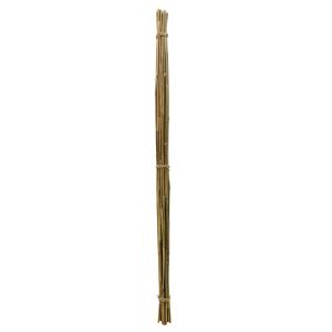 Photo DGE1161 : Bamboo stakes (set of 20)