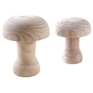 Photo DMA153S : Paulownia mushrooms