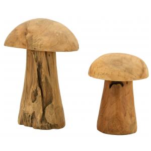 Photo DMA163S : Natural teak mushroom