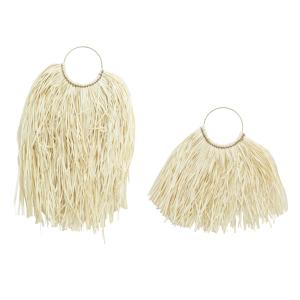 Photo DMU246S : Set of 2 palm leaf wall decor