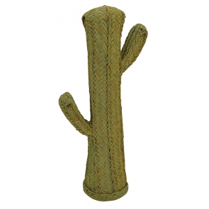 Photo DVI1922 : Alfa cactus