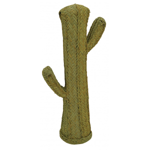 Photo DVI1922 : Cactus en alpha