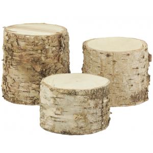 Photo DVI204S : Birch wood round