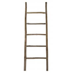 Photo DVI2070 : Pine wood ladder