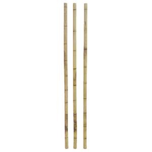 Photo DVI2180 : Bamboo poles