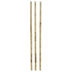 Photo DVI2180 : Bamboo poles