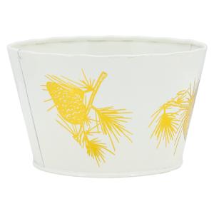 Photo GCO5041 : Metal plant pot