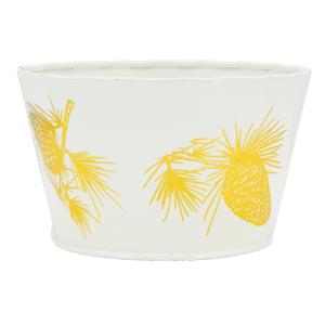 Photo GCO5041 : Metal plant pot