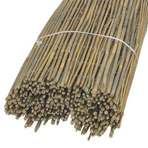 Photo JAC1892 : Bamboo screen 