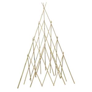 Photo JAC1900 : Bamboo teepee trellis