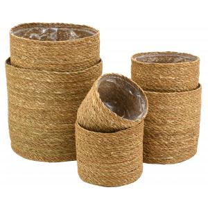 Photo JCP417SP : Cache-pots ronds en jonc naturel