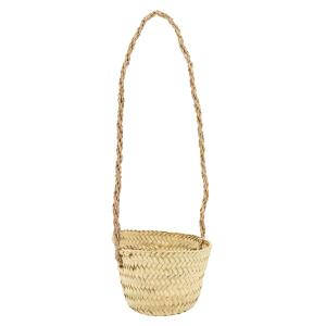 Photo JSU1320 : Hanging basket in palm