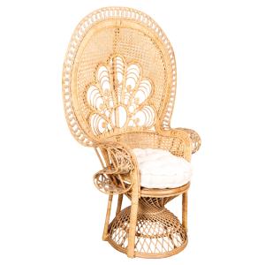 Photo MFA1400C : Rattan peacock chair