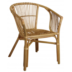 Photo MFA3170 : Natural rattan armchair