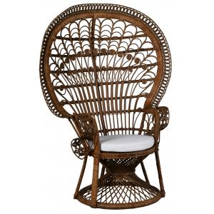 Photo MFA3360C : Brown rattan peacock chair