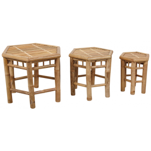 Photo NSE190S : Natural bamboo plant stands