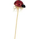 Photo DPI164S : Lot de 24 piques décoratifs coccinnelles