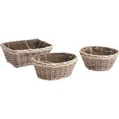 Photo CCO7360C : Willow and wood basket