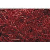 Photo EFF1181 : Fine red paper crinkle cut shred
