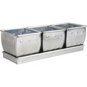 Photo GCO2020 : Zinc tray with 3 pots