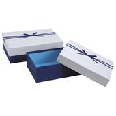 Photo VBT288S : Boites cadeaux bleues et blanches