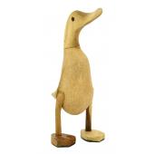 Photo DAN3310 : Teak duck