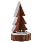 Photo DBO3350V : Fir and glass candle holder