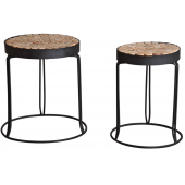 Photo NSE170S : Metal and wooden plant stands