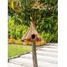 Coco bird house