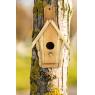 Wooden bird house
