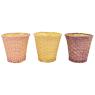 Split willow waste paper basket